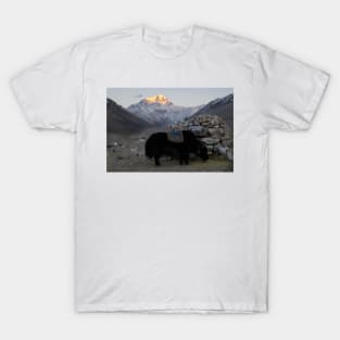 850_1210 T-Shirt